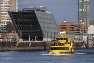 Hadag harbour ferry on the Elbe, Docklands building at the fishing port, Hamburg, Germany, Europe