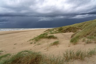 Dune landscape, beach, dark storm clouds, autumn at the North Sea in North Holland, between the