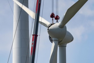 Repowering of a wind farm near Issum, 9 older wind turbines from the manufacturer Enercon (model