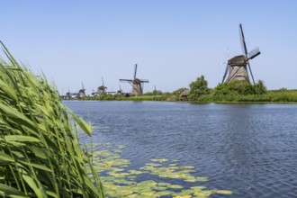 Kinderdijk, 18 windmills designed to pump water from the polders to utilise the land, one of the