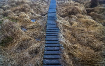 The High Fens nature park Park, in the German-Belgian border region near Eupen, winter, fog, wooden