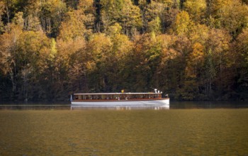 Tourist boat on the Königssee, yellow coloured trees, autumnal mountain forest at the lake,