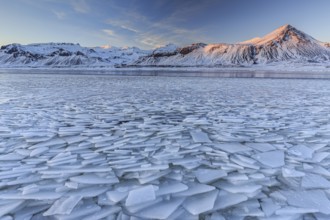 Ice floes on a lake in front of snowy mountains, sun, evening light, snow, winter, Snaefellsnes,