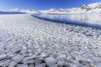 Ice floes on a lake in front of snow-covered mountains, sun, snow, winter, Snaefellsnes,