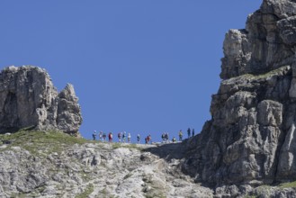 Mountaineers on the Hindelanger via ferrata, Allgäu Alps, Allgäu, Bavaria, Germany, Europe