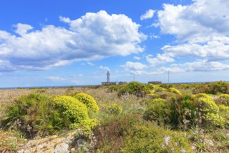 Lighthouse, Syracuse, Sicily, Italy, Europe