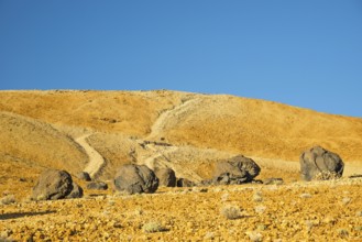 Lava balls, Teide eggs, Huevos del Teide, Montana Blanca, Picio del Teide, 3718m, Parque Nacional