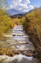 A babbling brook runs through a green forest with snow-capped mountains in the background, Jenbach,