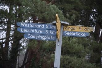 A signpost with several distances in a forest, Prerow, Mecklenburg-Vorpommern, Germany, Europe