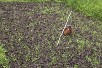 Rusted metal can and aluminium pie pan attached to wooden stake to scare away birds and rodents in