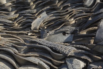 Pile of assorted shredded black rubber motor vehicle tires in recycling yard, Quebec, Canada, North