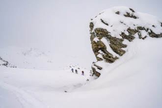 Three ski tourers climbing to the Madritschspitze, snow-covered mountain landscape, Ortler Alps,