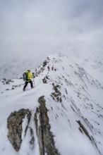 Ski tourers on the summit of the Köllkuppe or Cima Marmota, snow-covered mountain landscape, Ortler