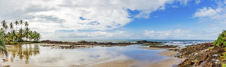 Deserted beach hidden between rocks and coconut trees in the town of Serra Grande on the coast of