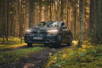 Black car in the shade of a forest, the surroundings green and lively, car sharing vehicle Deer