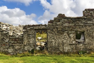 Facade of a ruin, dilapidated stone house, overgrown, symbolic photo Great Famine, Achill Island,