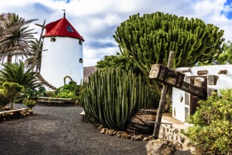 2016, Tiagua, Lanzarote, Farm Museum El Patio, Tiagua, ESP, Spain, Canary Islands, Canary Islands,