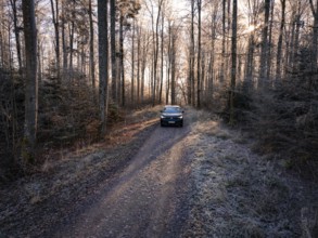 A car on a forest path in the morning light, surrounded by frosty trees, car sharing, electric car,