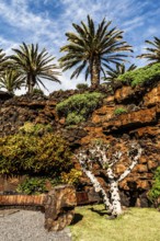 2016, Lanzarote, Jameos del Agua, lava tunnel, Cesar Manrique, ESP, Spain, Canary Islands, Canary