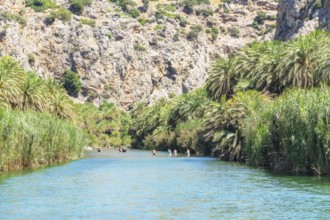 View of Megalopotamos river and Preveli palm forest, Rethymno, Crete, Greek Islands, Greece, Europe