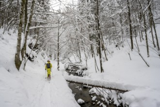 Ski tourer in snowy winter forest with mountain stream, Hachelbach in Josefstal, Neuhaus,