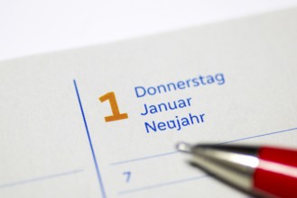 Calendar entry for 1 January as New Year's Day with red pen, diary, Germany, Europe