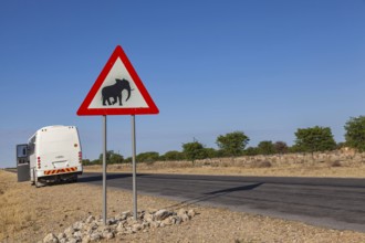 Traffic sign with warning of elephants, Namibia, Africa