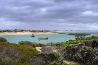 Harbour, Struisbaai, Garden Route, Western Cape, South Africa, Africa