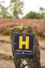 The Osterheide, in the Lüneburg Heath nature reserve, hiking sign, Heidschnuckenweg, hiking trail,