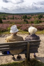 Blooming heath, heather and juniper bushes, viewpoint on the Wilseder Berg, senior citizens on a