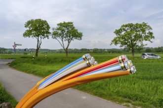 Fibre optic cable, freshly laid along a dirt track, at a paddock, awaiting further expansion,