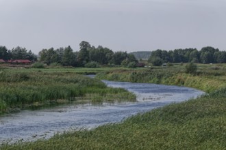 The Biebrza River in the Biebrza National Park in northern Poland. Goniadz, Podlasie, Poland,