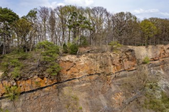 GeoRoute Ruhr, Dünkelberg quarry, in the Muttental valley, here you can see the geology of the