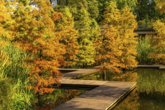 The Grugapark, Essen, botanical garden, park for leisure and recreation, at the forest lake, wooden