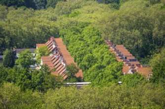 Residential buildings, Rheinhäuser, Phönixstraße housing estate in Gladbeck, in the countryside,