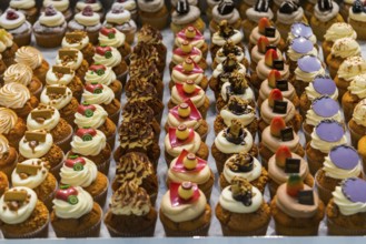 Tartlets, pastry, confectionery, pastry shop, display, Antwerp, Belgium, Europe