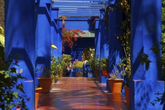 Flower decoration in the Majorelle garden, wall, clay plaster, indigo, blue, colourful, plants,