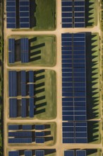 Top down aerial view of a photovoltaic plant arranged in symmetric rows, AI generated