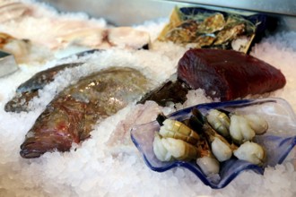 Close-up of a fish counter with fish and seafood