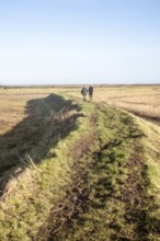 Two people walking on coastal defence wall at Shingle Street, Suffolk, England, United Kingdom,