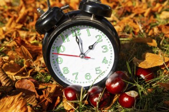 Symbolic image time change, autumn: An alarm clock among autumn leaves