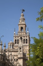 La Giralda tower of the cathedral originally built as a Moorish minaret in the twelfth century,