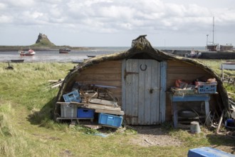 Upturned boats used as storage shed, Holy Island, Lindisfarne, Northumberland, England, UK