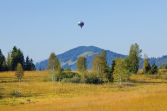 Hot air balloon over the Rothenthurm high moor in the canton of Schwyz, Switzerland, Europe