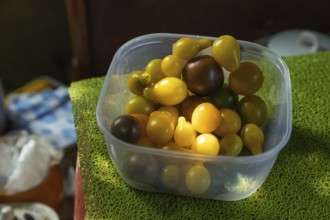 Different tomatoes in plastic container on the kitchen table. side view, close up, natural light,