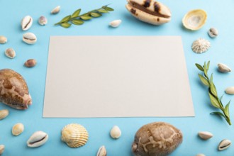 Composition with gray paper sheet, seashells, green boxwood. mockup on blue pastel background.