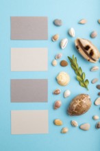 Composition with gray paper business cards, seashells, green boxwood. mockup on blue pastel