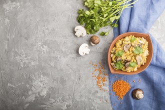 Lentils porridge with champignons and coriander in a clay bowl on a gray concrete background and