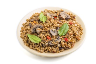 Spelt (dinkel wheat) porridge with vegetables and mushrooms on ceramic plate isolated on white