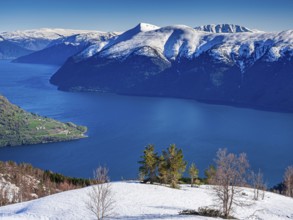 View from Mt. Molden, over the Lustrafjord, inner branch of Sognefjord, tongue of land of Urnes,